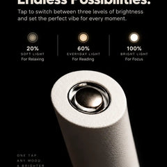 LumaArc Portable Touch Lamp
