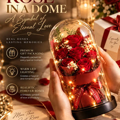 Eternal Bloom™ – Illuminated Red Rose Glass Dome